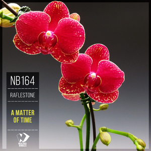 Disappearing Time (Original Mix)