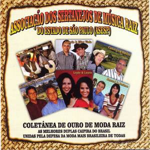 A ULTIMA BOIADA