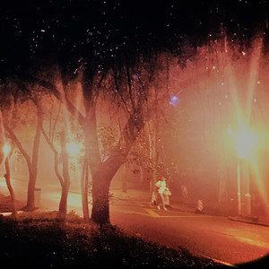 看着森林蓝天（伴奏）