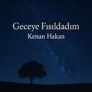 Geceye Fısıldadım