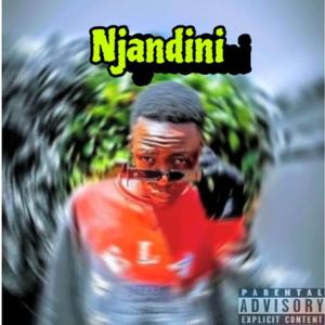 Njandini