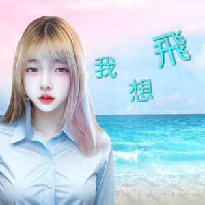 我想飞 (动感版)