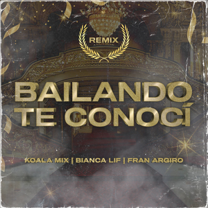 Bailando Te Conoci (Remix)