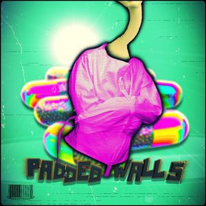 PADDED WALLS