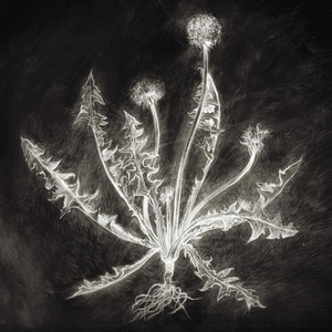 Hope Jones (Jason's Song)