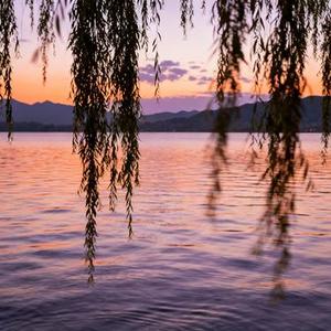 被你伤到心脉受损