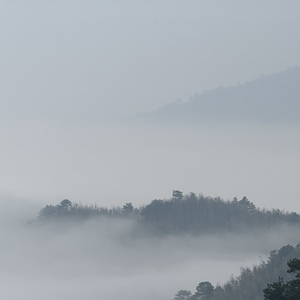 《我们的时光信笺》