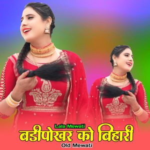 बडीपोखर को बिहारी ओल्ड मेवाती