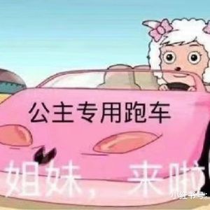 限坐两人freestyle