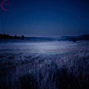 Starlake Nocturne
