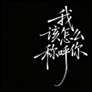 我该怎么称呼你（男声）