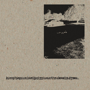 kovspblegnozimedjpolyplusuc