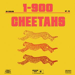 CHEETAHS