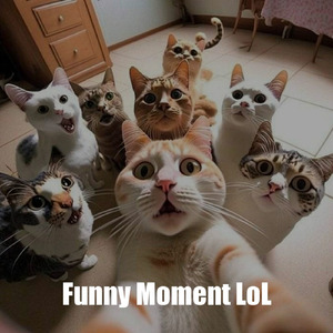 Funny Moment Lol