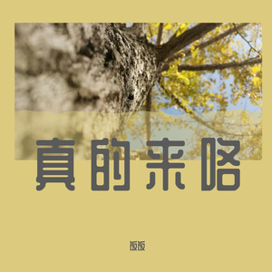 简昊 - 江湖就像一阵风