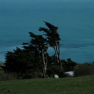 普鲁卡因（prod by.LGlywww）