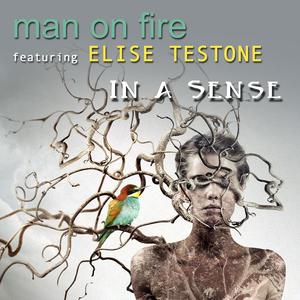 In A Sense (feat. Elise Testone)