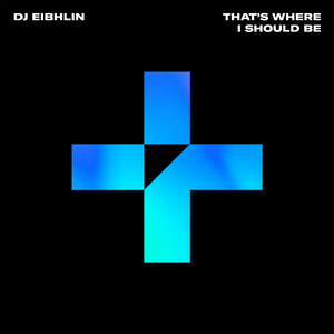 That's Where I Should Be (Extended Mix)