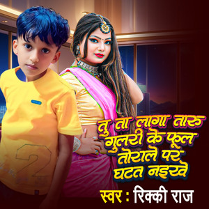 Tu Ta Laga Taru Gulri Ke Ful Torolo Par Gahtat Naikhe