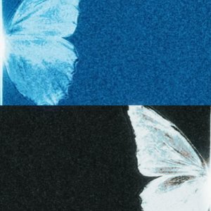 晃爆传奇巅峰闪耀9527k镭射晶核钛铸眼