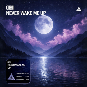 Never Wake Me Up (Extended Mix)