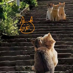 push me away (no jamba's version)