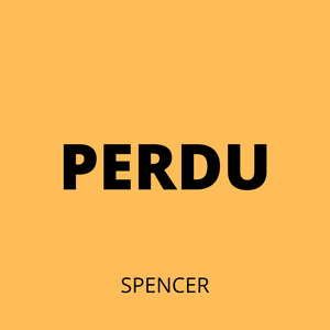 Perdu