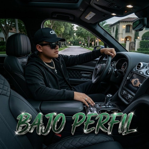 BAJO PERFIL
