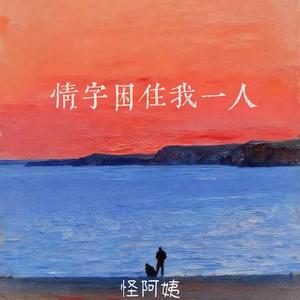 情字困住我一人 ( DJ九零版)