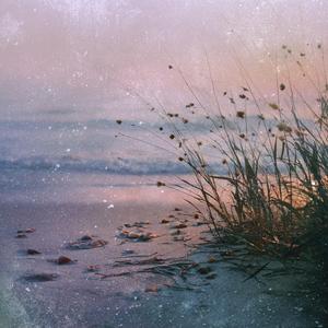 Seagrass Sway