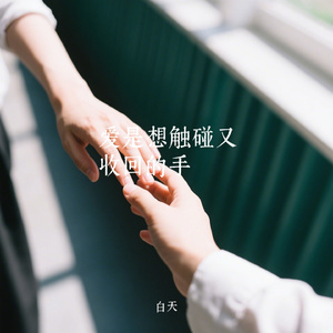 爱是想触碰又收回的手