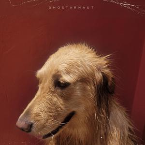 Nobody Knows (feat. Ghostnarbis) (Remix)