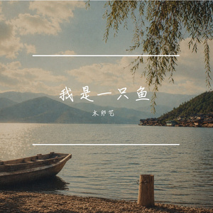 我是一只鱼