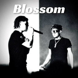 [不免费]--Blossom--那奇沃夫/KKLUV-Afro Trap-Type Beat