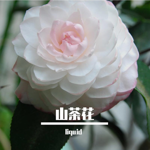 黑暗（Prod.MORROW）