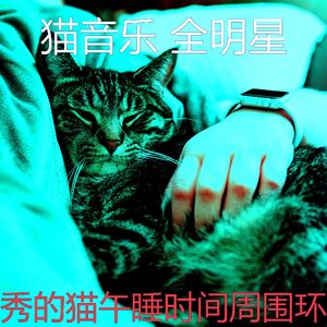 抚慰的睡猫回忆