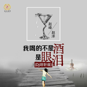 我喝的不是酒是眼泪 (Dj翊轩版)