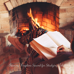 Soothing Campfire Music for Relax