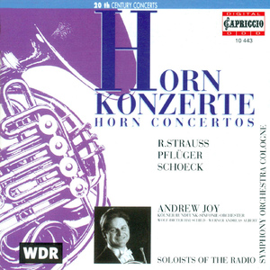 Horn Concerto, Op. 65:II. Ruhig fliessend