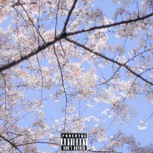 I dont need sleep feat Bizarreboi