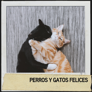 Música para gatitos