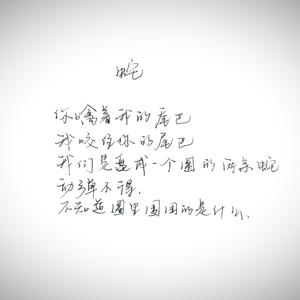 百家湖总是缀满星光