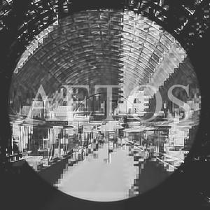 Protect (stay close)