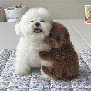 Recordarás (sped up)