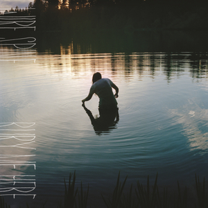 Feline Toxoplasmosis