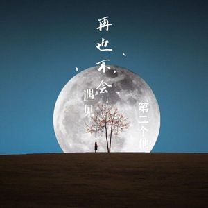 再也不会遇见第二个她了