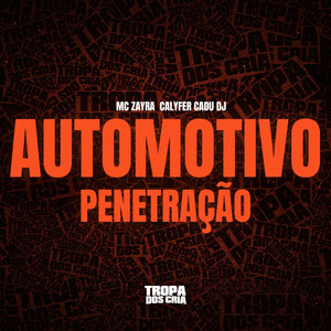 AUTOMOTIVO PENETRAÇÃO