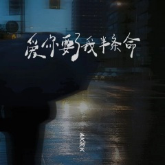 爱你要了我半条命 (DJ彭锐版)