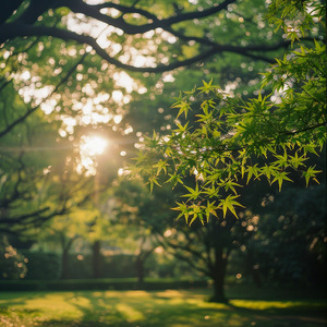 この選択の先に