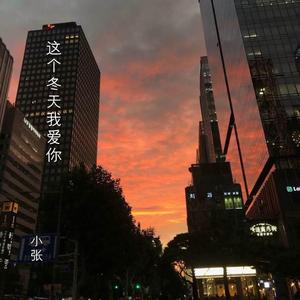 这个冬天你还是不爱我